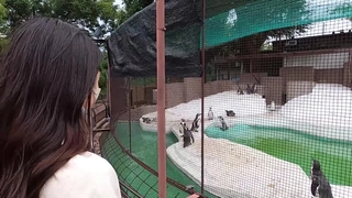 像这样火辣极品御姐魔鬼身材天生的炮架你一晚要操几回