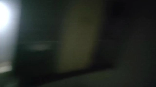 凡妮莎-哈金斯
