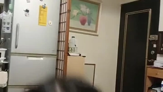 陈余一暖君小母狗