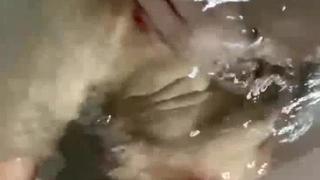 欧洲学生和娇小的墨西哥女孩在69视频中探索禁忌的幻想